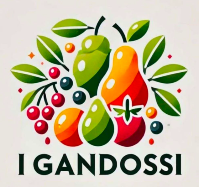 Sponsor