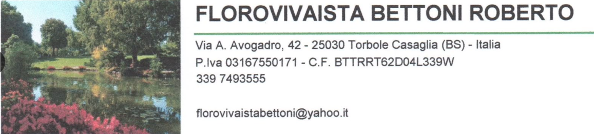 Sponsor